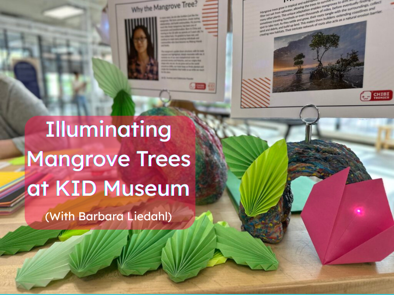 Illuminating Mangrove Trees at KID Museum (With Barbara Liedahl) 