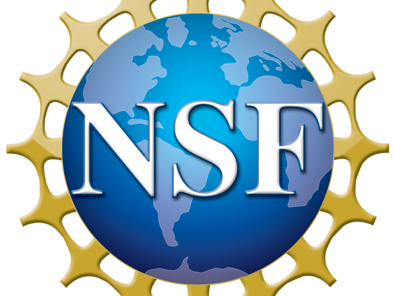 An image of the Earth is centered upon a spiky gold disk. In the center are the initials "NSF." This is the logo for the National Science Foundation.